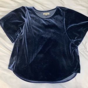 Madewell Velvet Top